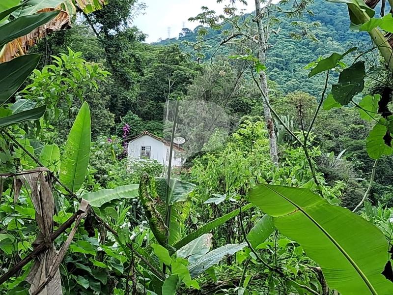 Fazenda / Sítio à venda em Centro, Areal - RJ - Foto 9