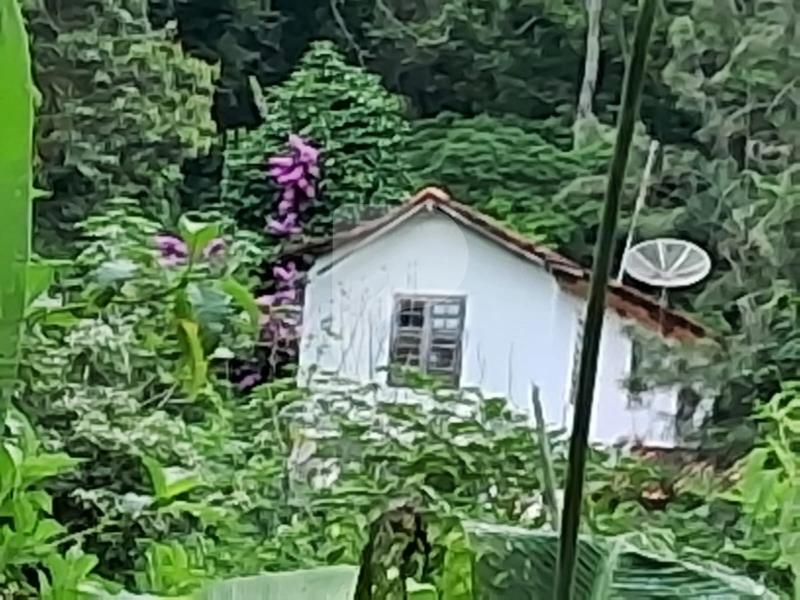 Fazenda / Sítio à venda em Centro, Areal - RJ - Foto 7