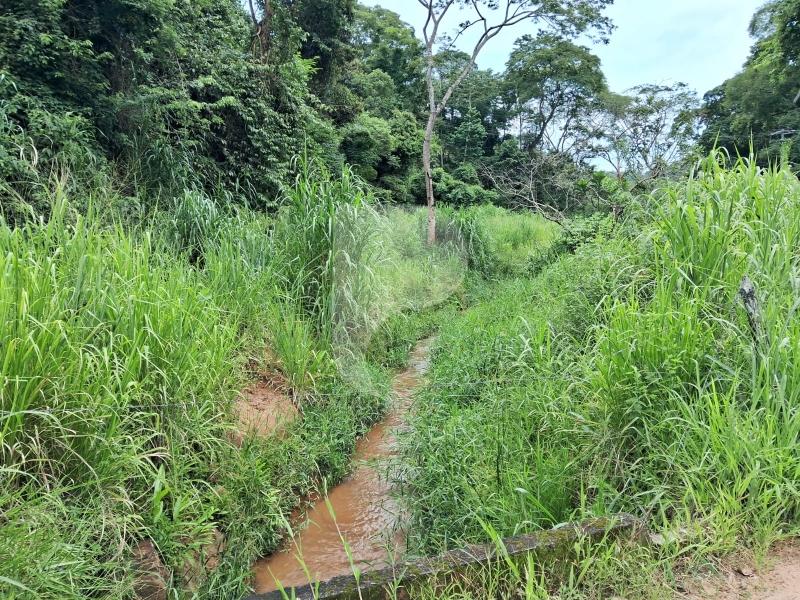Fazenda / Sítio à venda em Centro, Areal - RJ - Foto 11