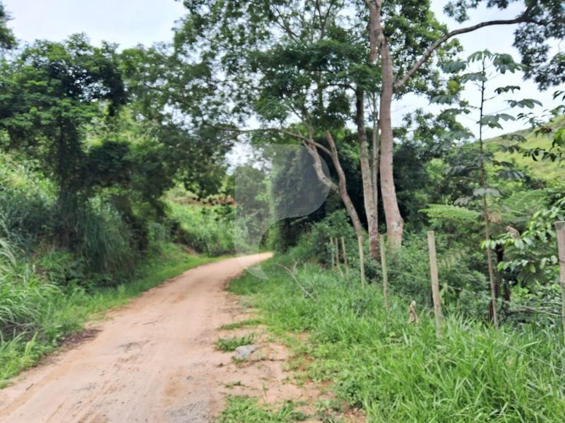 Fazenda / Sítio à venda em Centro, Areal - RJ - Foto 16