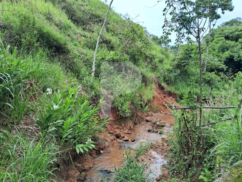 Fazenda / Sítio à venda em Centro, Areal - RJ - Foto 12