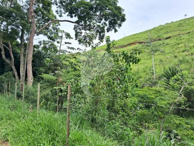 Fazenda / Sítio à venda em Centro, Areal - RJ - Foto 13