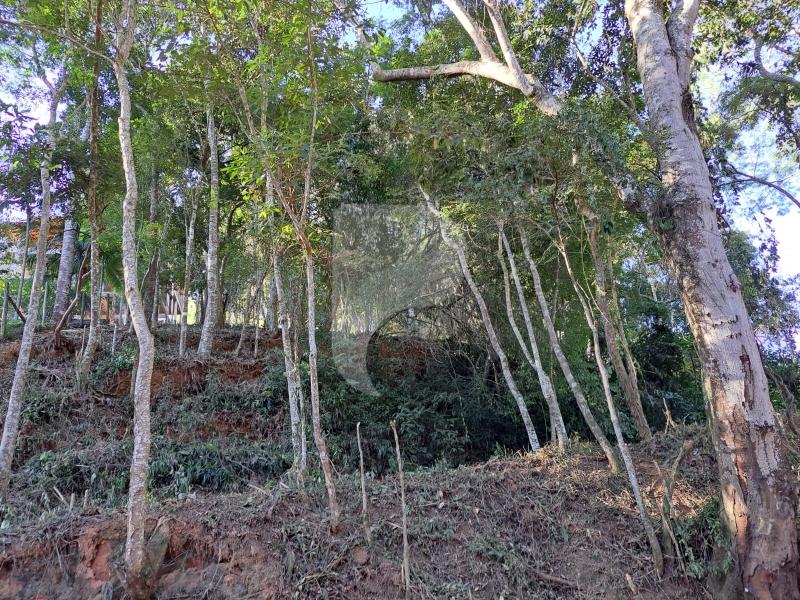 Terreno Residencial à venda em Nogueira, Petrópolis - RJ - Foto 11