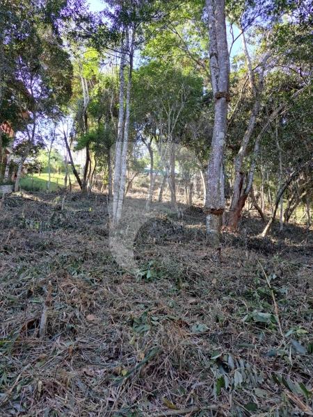Terreno Residencial à venda em Nogueira, Petrópolis - RJ - Foto 2