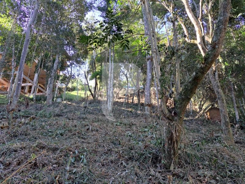 Terreno Residencial à venda em Nogueira, Petrópolis - RJ - Foto 1