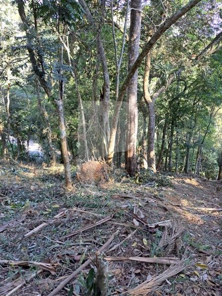 Terreno Residencial à venda em Nogueira, Petrópolis - RJ - Foto 4