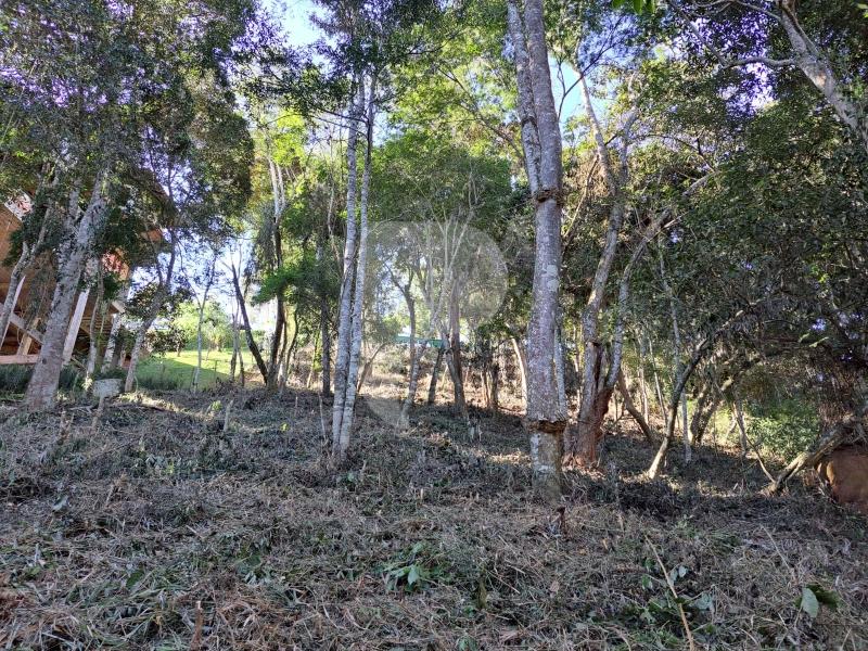 Terreno Residencial à venda em Nogueira, Petrópolis - RJ - Foto 5