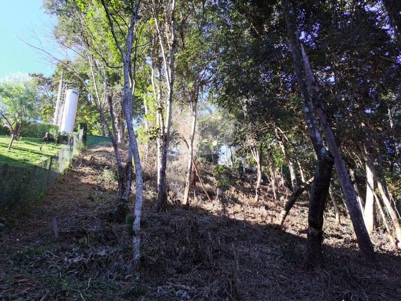 Terreno Residencial à venda em Nogueira, Petrópolis - RJ - Foto 3