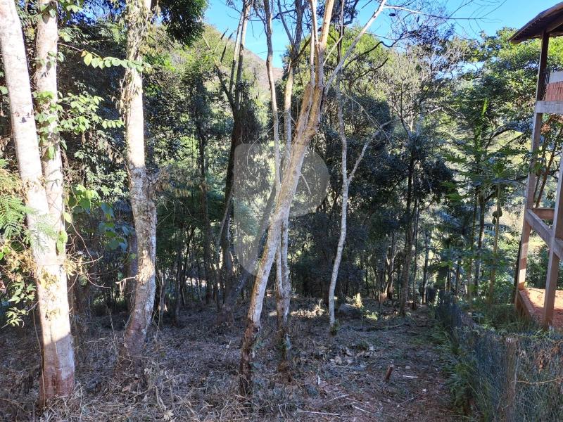 Terreno Residencial à venda em Nogueira, Petrópolis - RJ - Foto 6