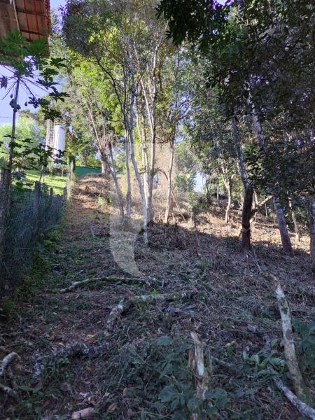 Terreno Residencial à venda em Nogueira, Petrópolis - RJ - Foto 8