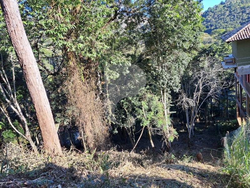 Terreno Residencial à venda em Nogueira, Petrópolis - RJ - Foto 9