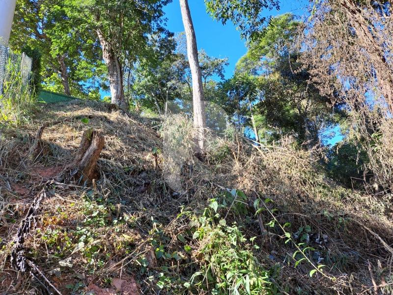 Terreno Residencial à venda em Nogueira, Petrópolis - RJ - Foto 10