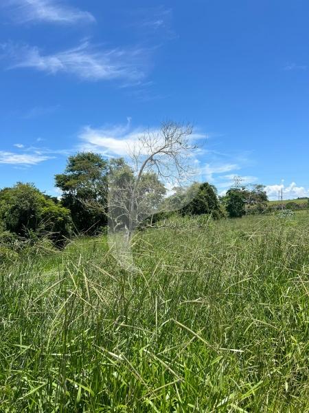 Terreno Residencial à venda em Centro, Areal - RJ - Foto 1