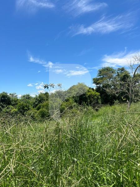 Terreno Residencial à venda em Centro, Areal - RJ - Foto 4