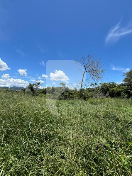 Terreno Residencial à venda em Centro, Areal - RJ - Foto 5