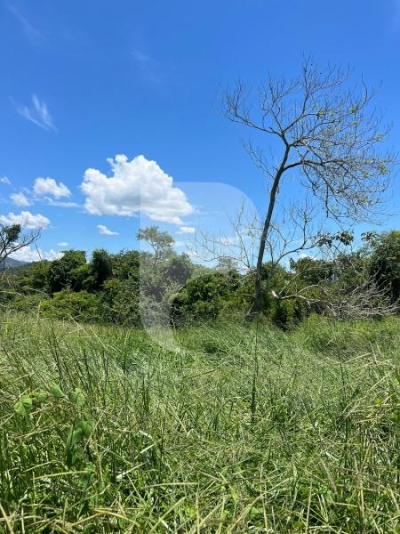 Terreno Residencial à venda em Centro, Areal - RJ - Foto 6