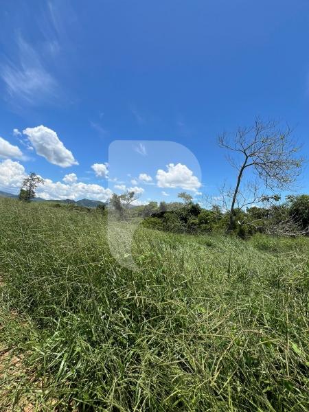 Terreno Residencial à venda em Centro, Areal - RJ - Foto 7