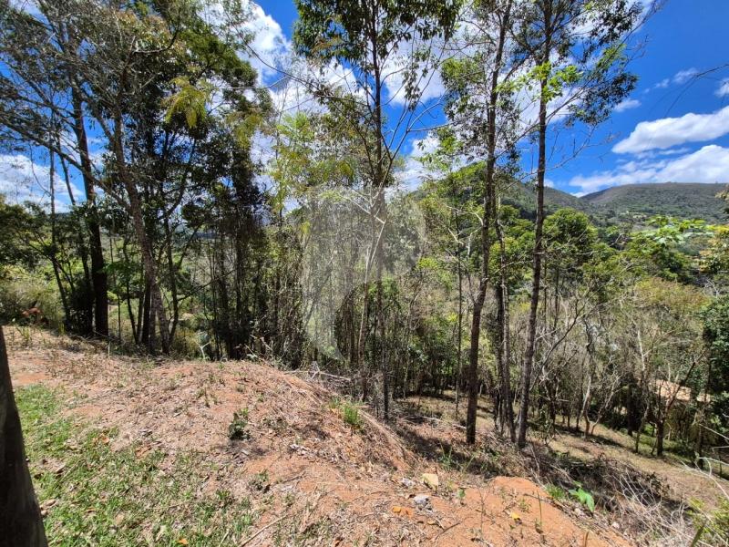 Terreno Residencial à venda em Nogueira, Petrópolis - RJ - Foto 3