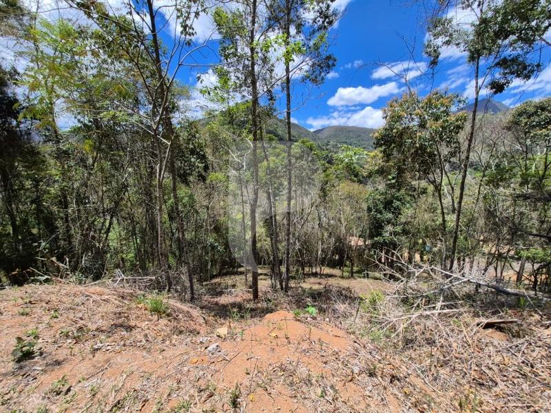 Terreno Residencial à venda em Nogueira, Petrópolis - RJ - Foto 1