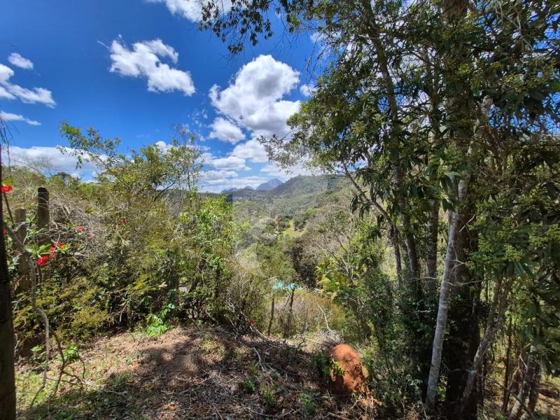 Terreno Residencial à venda em Nogueira, Petrópolis - RJ - Foto 4