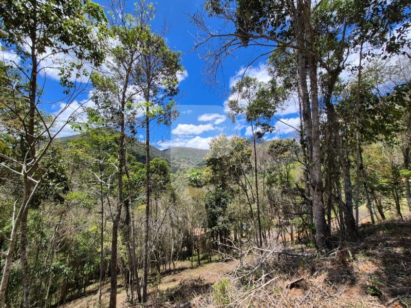 Terreno Residencial à venda em Nogueira, Petrópolis - RJ - Foto 5