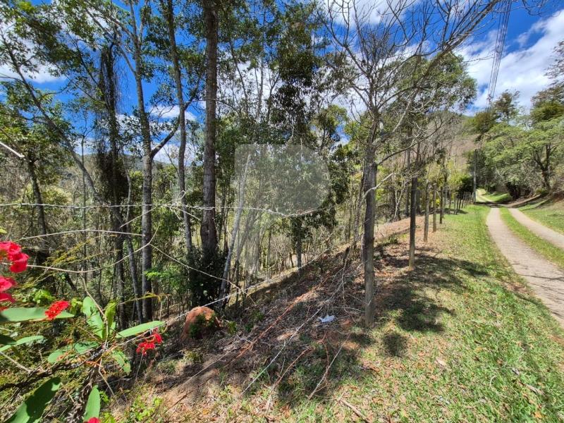 Terreno Residencial à venda em Nogueira, Petrópolis - RJ - Foto 6