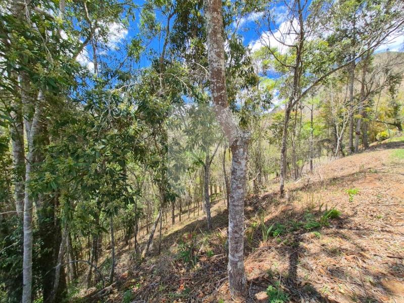 Terreno Residencial à venda em Nogueira, Petrópolis - RJ - Foto 2