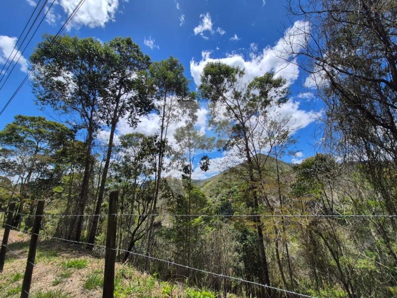 Terreno Residencial à venda em Nogueira, Petrópolis - RJ - Foto 8