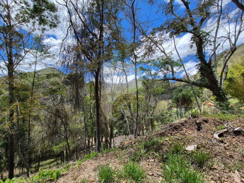 Terreno Residencial à venda em Nogueira, Petrópolis - RJ - Foto 10