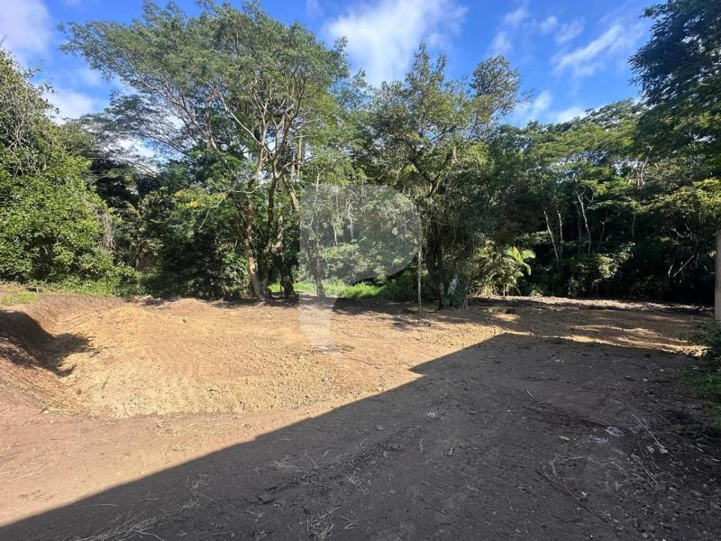 Terreno Residencial à venda em Itaipava, Petrópolis - RJ - Foto 4