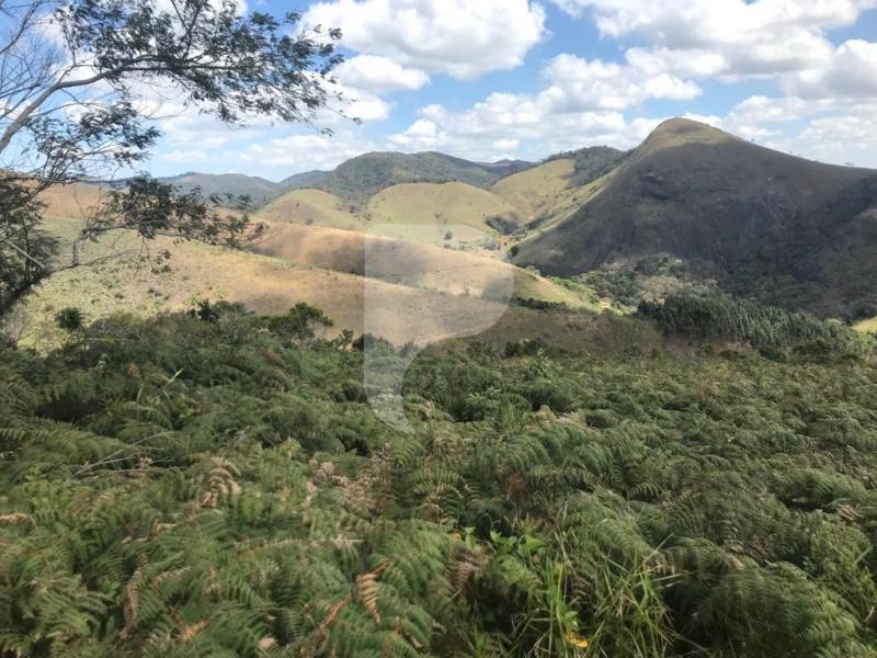 Terreno Residencial à venda em Vale das Videiras, Petrópolis - RJ - Foto 1