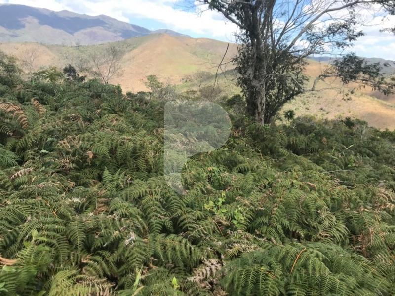 Terreno Residencial à venda em Vale das Videiras, Petrópolis - RJ - Foto 2