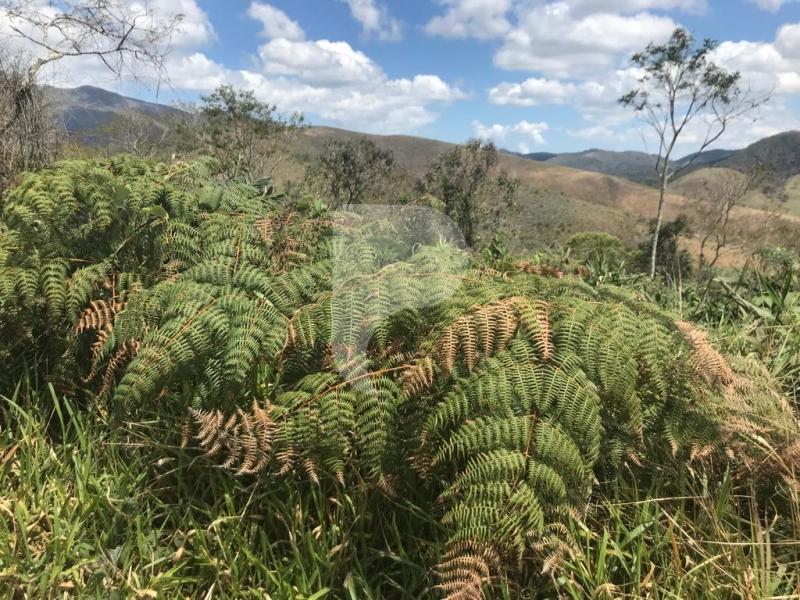 Terreno Residencial à venda em Vale das Videiras, Petrópolis - RJ - Foto 3