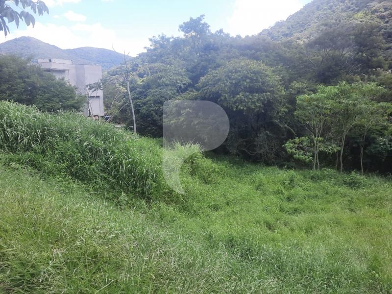 Terreno Residencial à venda em Corrêas, Petrópolis - RJ - Foto 4