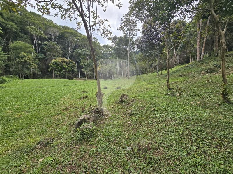 Terreno Residencial à venda em Secretário, Petrópolis - RJ - Foto 2