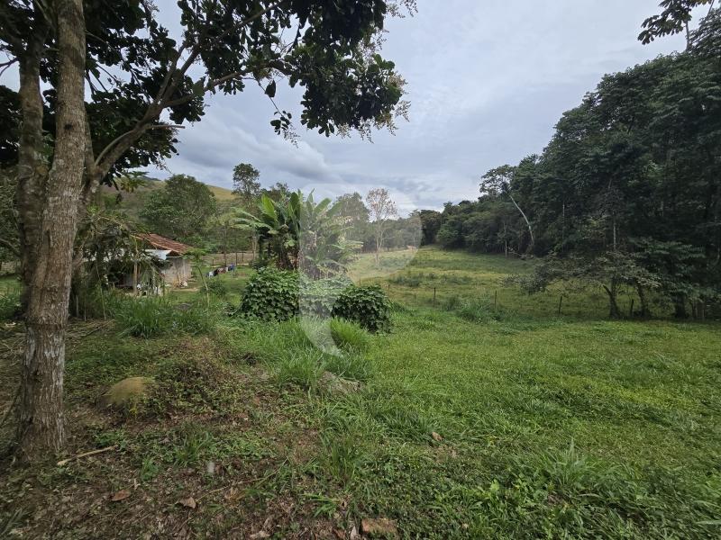 Terreno Residencial à venda em Secretário, Petrópolis - RJ - Foto 3