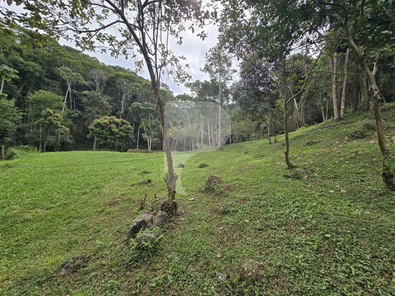 Terreno Residencial à venda em Secretário, Petrópolis - RJ - Foto 4