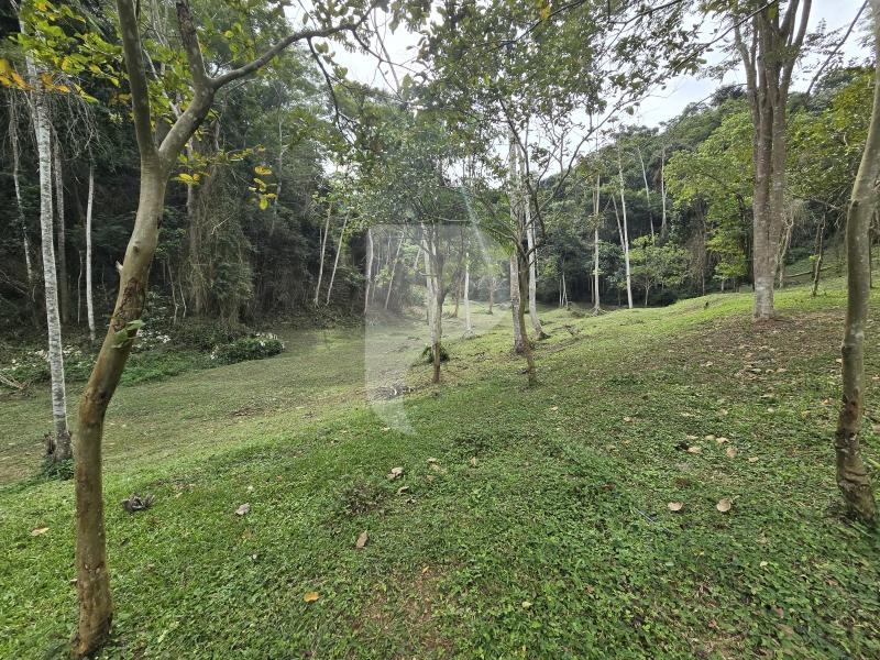 Terreno Residencial à venda em Secretário, Petrópolis - RJ - Foto 6