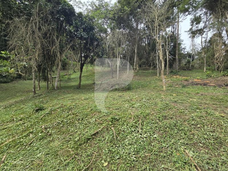 Terreno Residencial à venda em Secretário, Petrópolis - RJ - Foto 9