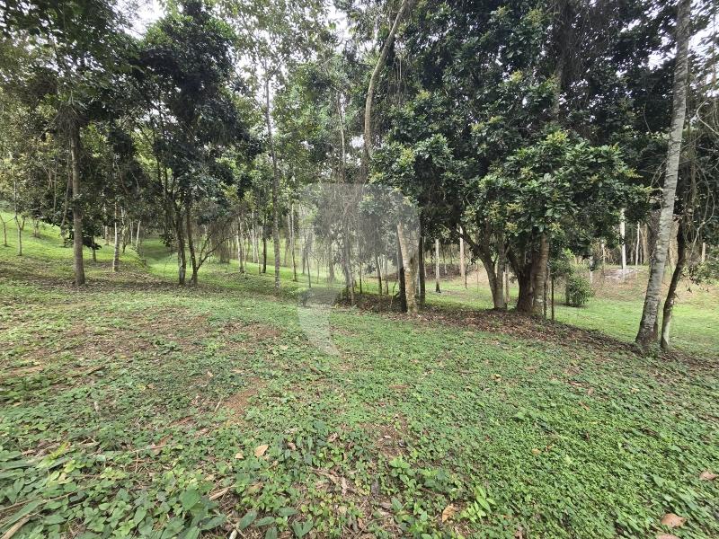 Terreno Residencial à venda em Secretário, Petrópolis - RJ - Foto 10