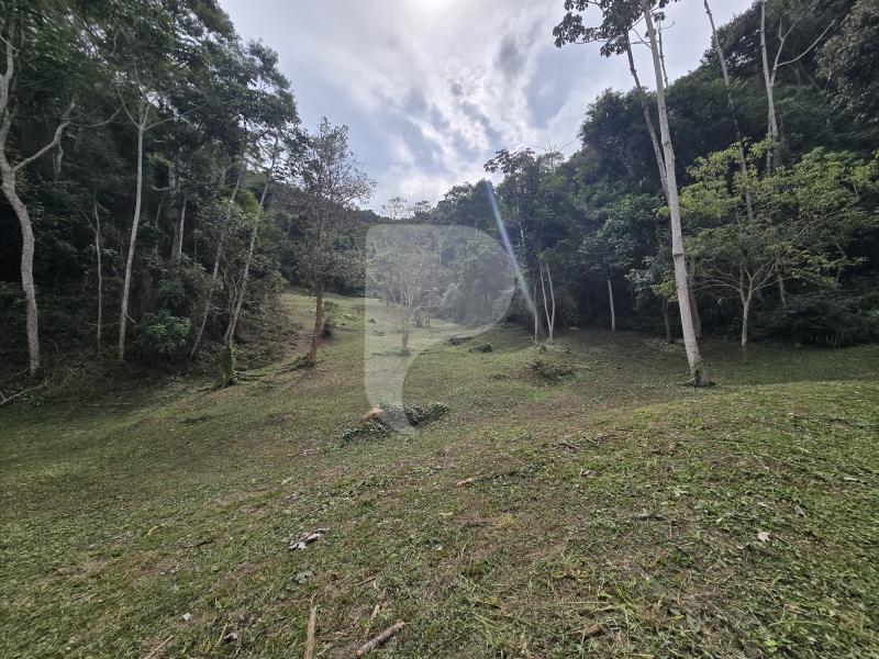 Terreno Residencial à venda em Secretário, Petrópolis - RJ - Foto 11