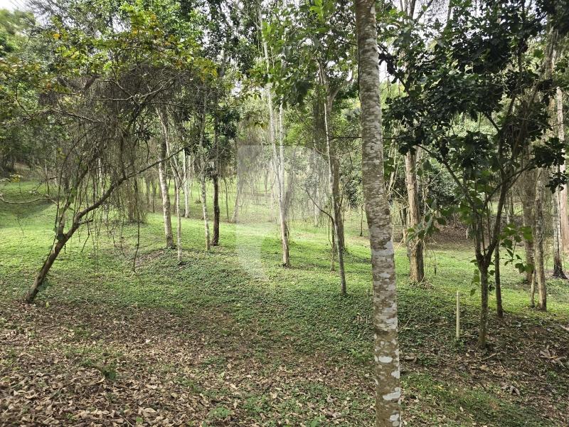 Terreno Residencial à venda em Secretário, Petrópolis - RJ - Foto 12