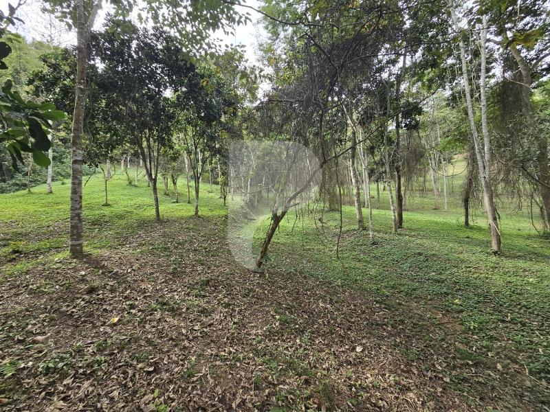 Terreno Residencial à venda em Secretário, Petrópolis - RJ - Foto 13