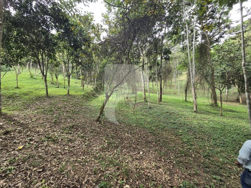 Terreno Residencial à venda em Secretário, Petrópolis - RJ - Foto 14