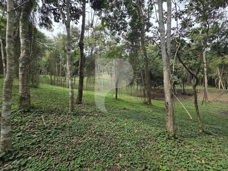 Terreno Residencial à venda em Secretário, Petrópolis - RJ - Foto 15