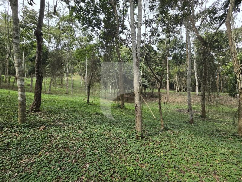 Terreno Residencial à venda em Secretário, Petrópolis - RJ - Foto 16