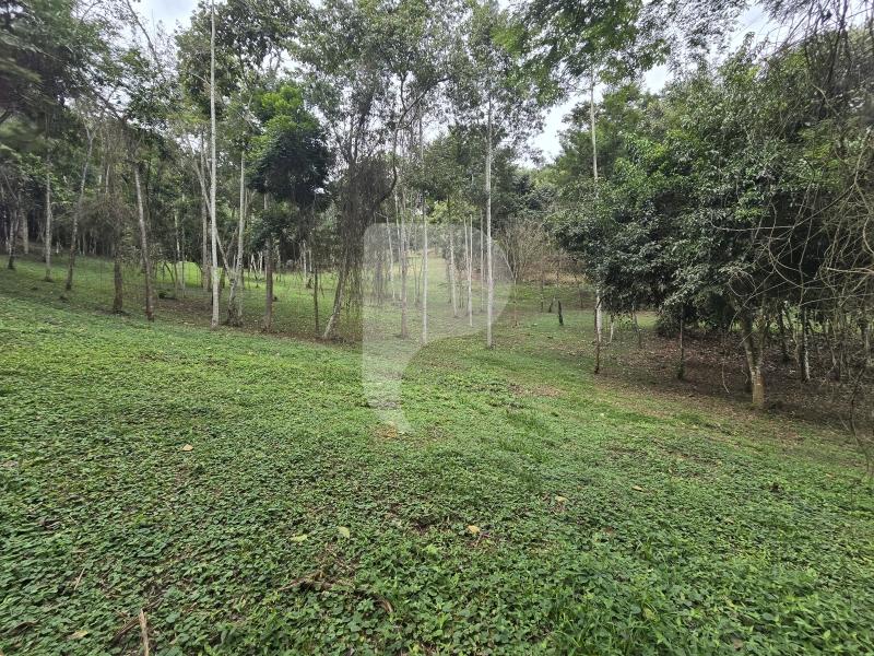 Terreno Residencial à venda em Secretário, Petrópolis - RJ - Foto 17