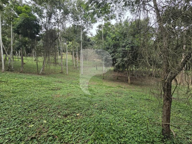 Terreno Residencial à venda em Secretário, Petrópolis - RJ - Foto 18