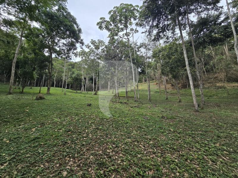Terreno Residencial à venda em Secretário, Petrópolis - RJ - Foto 19