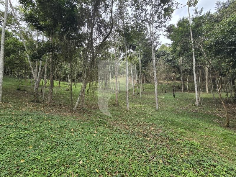 Terreno Residencial à venda em Secretário, Petrópolis - RJ - Foto 20
